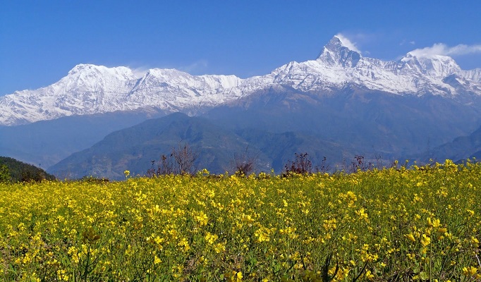 Pokhara